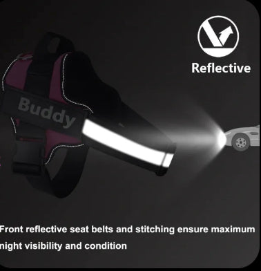 Personalized Dog Harness No-Pull Reflective Breathable Adjustable XS/Small/Large